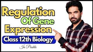 Regulation Of Gene Expression | Class 12 Biology Made Simple