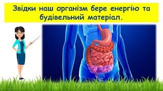 Звідки наш організм бере енергію та будівельний матеріал // Пізнаємо природу 5 клас НУШ