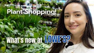 Lowe's Plant Shopping! | What's new at Lowe's Big Box Store | October 2022