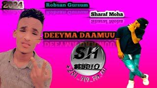 Best_oromo_Cover_music_Robsan_gursum_ft_Sharaf_moha_Deyma_damu_by_Sh_Studio_2024