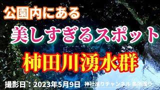 【柿田川湧水群】公園なのに美しすぎる光景が、SNSで話題のスポット