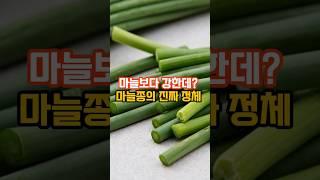 마늘보다 강한 마늘쫑의 효능!!