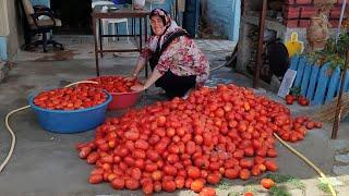  200 KİLO DOMATESTEN KAÇ KİLO SALÇA ÇIKTI‼️ Nevşehir'de salça yapımı#salçayapımıkeşfet