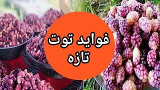 فواید توت تازه