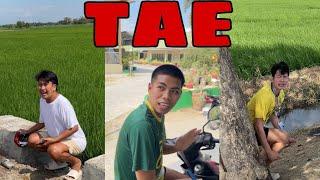 TAE |FUNNY TIKTOK COMPILATION |ROMEO MORENO