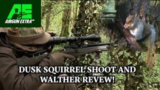 Airgun Extra | Squirrel hunting with Daystate Huntsman | Walther Reign M2 airgun review