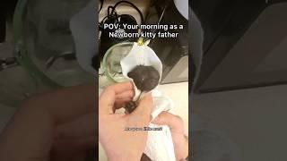 She literally Hiroshima’d her pants… WHAT THE HECK! #pov #cat #newbornkittens #shorts