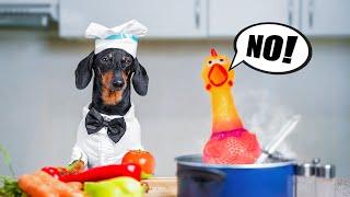 Vegan Day Challenge! Cute & funny dachshund dog video!