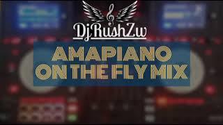 Amapiano On The Fly Mix (DJ Rush Zim)