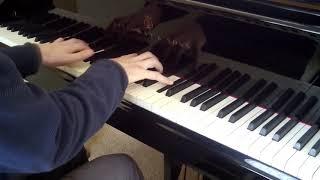 Howard Blake: 'Walking in the Air' (version from 'Lifecycle') for solo piano