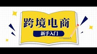 跨境电商，新手要如何选择入局，平台电商和独立站的区别在哪里？ 新手小白需要怎么开始自己的第一家店铺