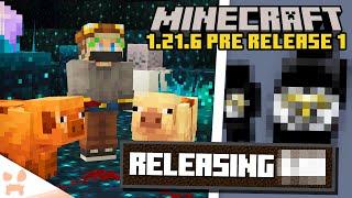 NEW VIBRATIONS, CAPE LEAKED, + RELEASE DATE CLUES! (minecraft 1.21.6 pre release 1)