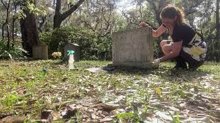 Cleaning Lilla H. Luther Headstone