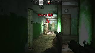 Я нашел крыс. пришлось их убить #escapefromtarkov #gaming #pvp