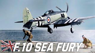 Hawker Sea Fury F.10 MK X | The British Propeller Fighter That Defeated Mig-15 Jets