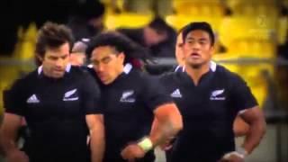 ALL BLACKS RUGBY TRIBUTE