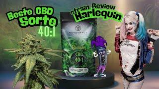 Harlequin CBD Strain Review - Test, Wirkung und Grow