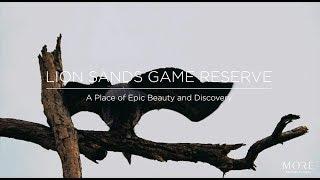 Lion Sands - Experience