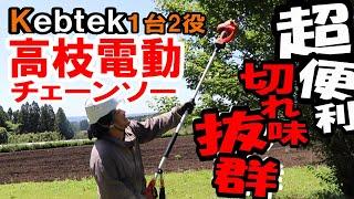 Kebtek｜High-branch electric chainsaw is very convenient and I want one in my family!