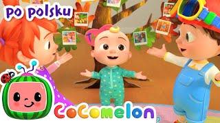 Piosenka dziękczynna | CoComelon | Bajki i piosenki dla dzieci po polsku | Moonbug Kids