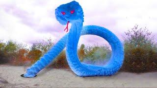 Experiment: Big Blue Toothpaste Snake Eruption from Fanta, Pepsi, Giant Coca-Cola and Mentos