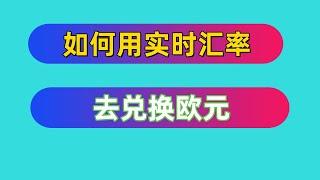 如何用实时汇率去兑换欧元 2024年12月最新视频教程 #欧元 #欧元兑换 #kraken