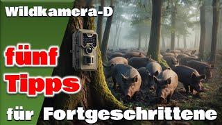 5 Tipps für den fortgeschrittenen Wildkamera Nutzer