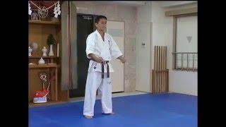 Pinan sono ni. (kata) Kyokushin karate