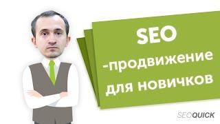 SEO Продвижение сайта для начинающих: Обучение для новичков (Видеоурок)