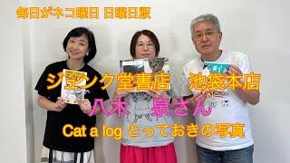 【まいネコ】毎日がネコ曜日 日曜日版＃123  ゲスト：ジュンク堂書店　池袋本店　八木泉さん＆Cat a log「とっておき写真」