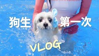 【Vlog】COCO挑戰狗生第一次遊泳！天秤座汪可可CocoWang