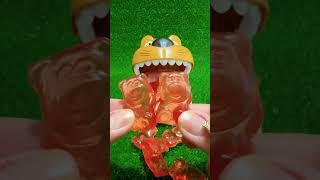 ASMR DOG DENTIST LOVE EATING RED GUMMY CANDY#shortvideo#satisfying#asmr#shorts