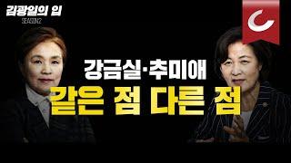 [김광일의 입] 강금실·추미애 같은 점 다른 점