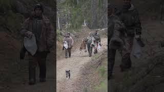  Главный враг в зимней тайге #крайнийсевер #природа #интересно