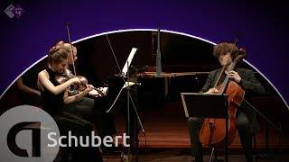 Schubert: Piano Trio No. 1 - Noa Wildschut, Alexander Warenberg & Elisabeth Brauss - HD