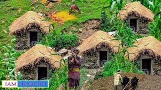 Beautifull himalayan village Life| Routine of Daily lifestyle|Primitive lifestyle|Nepali village |