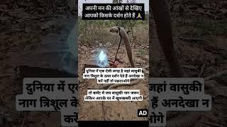 त्रिशूल पर नाग देवता देते हैं दर्शन#vishnu #vishnupurana #vishnumantra