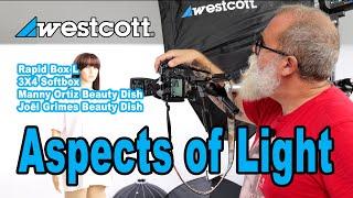 Photography Lighting: Comparing 4 Westcott Light Modifyers / Softboxes - IN ENGLISH