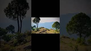 "Manghal Chai Hill View | Green Trees & Village Beauty ️ | Asad Ullah Khan Jadoon"
