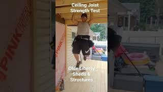 Ceiling Joist Strength Test #framing #pullups #carpenter #deadontools #construction #decks