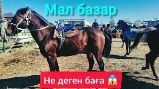 СҰМДЫҚ НЕ ДЕГЕН БАҒА, ҚЫЗЫЛОРДА МАЛ БАЗАРЫ.