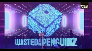 WASTED PENGUINZ LIVE SET | KNOCKOUT OUTDOOR 2023 (THE OASIS) HSU OFFICIAL