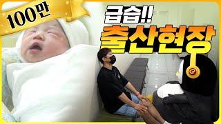 제작진 출산 현장 급습한 펭수(ENG) [EP.246]