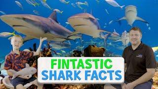 Fintastic Shark Facts by Scubazoo