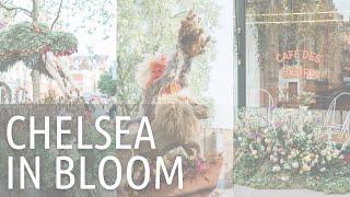 Chelsea in Bloom 2023 | Flowers on Film | Floral Displays | | My Midlife Story