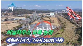 국유지 500평 사용중인 비닐하우스 묘목농장, 세종시 전의면 세종복합일반산업단지 바로 옆 계획관리지역 토지