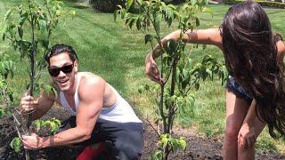 VLOG: Planting Our First Tree! Carli Bybel & BrettCap