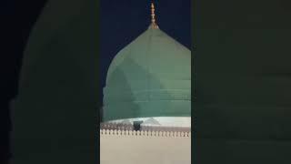 Masjid nabwi️The worlds biggest mosque #foryou #shortvideo #shorts #ytshorts #ytshort #shortsfeed