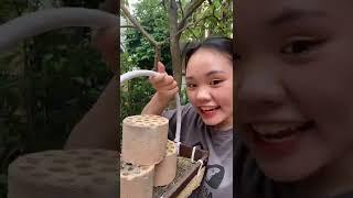 Nuôi mèo không nghèo phần 4 - Thảo Mèo