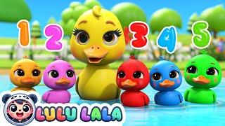 Five Little Ducks Went Out To Play! Colors & Numbers with Baby LaLa - Nursery Rhymes And Baby Songs!